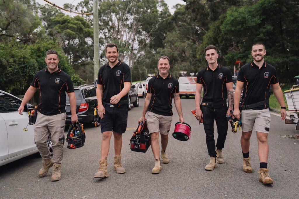 Professional electrical services in Chippendale